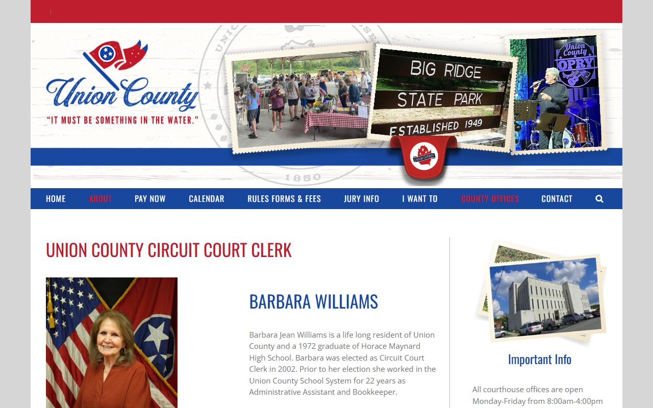 Union County criminal court records context from the Union County circuit court clerk about page